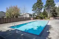 209 9300 PARKSVILLE DRIVE - thumbnail 23