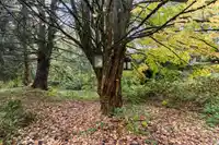 2833 GARDNER PLACE - thumbnail 36