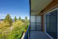 311 12070 227 STREET - thumbnail 25