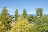 311 12070 227 STREET - thumbnail 26