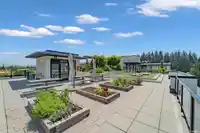 406 4408 CAMBIE STREET - thumbnail 35