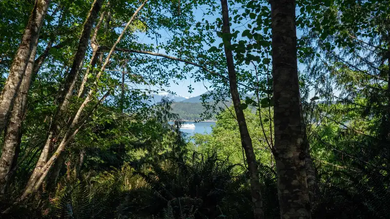 LOT 19 SMUGGLERS COVE ROAD - photo 3 of 8