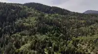 LOT 19 SMUGGLERS COVE ROAD - thumbnail 5