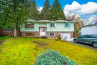 10123 158A STREET - thumbnail 1