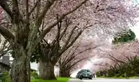 10123 158A STREET - thumbnail 36