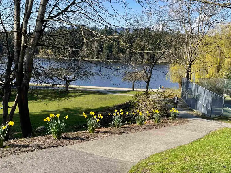 803 1960 ROBSON STREET - photo 3 of 38