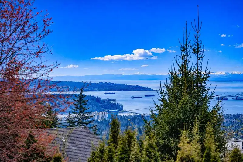 225 TAMARACK ROAD - photo 4 of 40