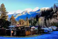 49 1650 COLUMBIA VALLEY ROAD - thumbnail 31