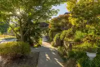 441 E 28TH AVENUE - thumbnail 2