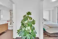 406 2446 SHAUGHNESSY STREET - thumbnail 8