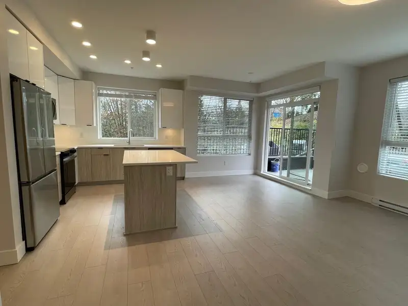 113 11655 FRASER STREET - photo 4 of 17