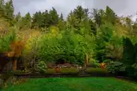 2517 PLATINUM LANE - thumbnail 19