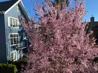 26 16337 15 AVENUE - thumbnail 26