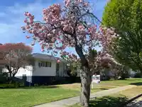 2750 ROSEMONT DRIVE - thumbnail 2