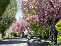2750 ROSEMONT DRIVE - thumbnail 6