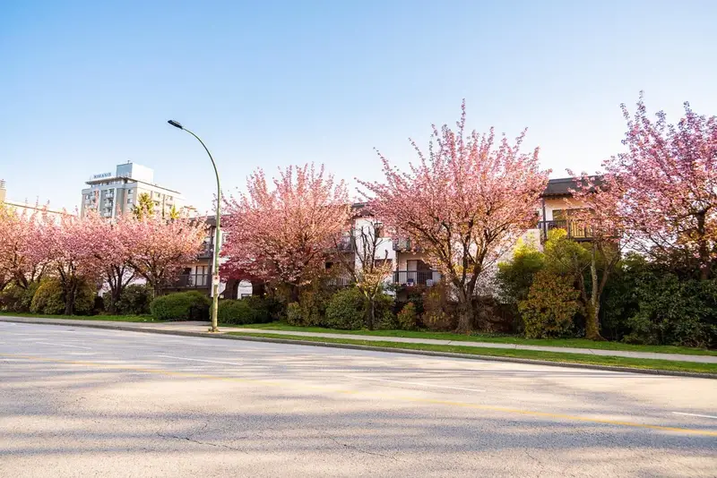 208 211 W 3RD STREET - photo 1 of 25