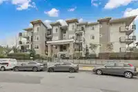 201 19940 BRYDON CRESCENT - thumbnail 20