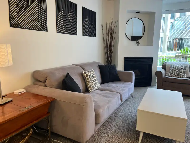 220 4809 SPEARHEAD DRIVE - photo 3 of 19
