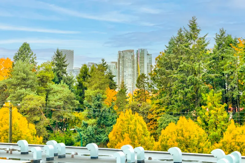 2222 WILLOW STREET - photo 3 of 14