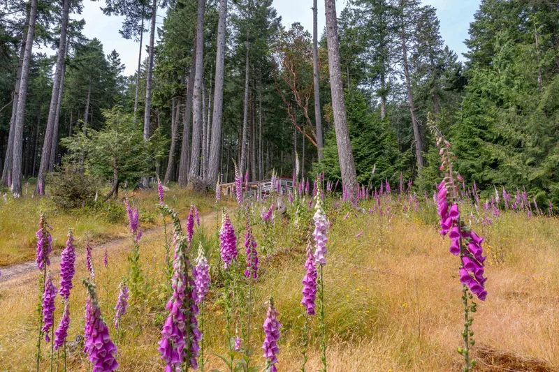 1-861 E BLUFF ROAD - photo 4 of 25