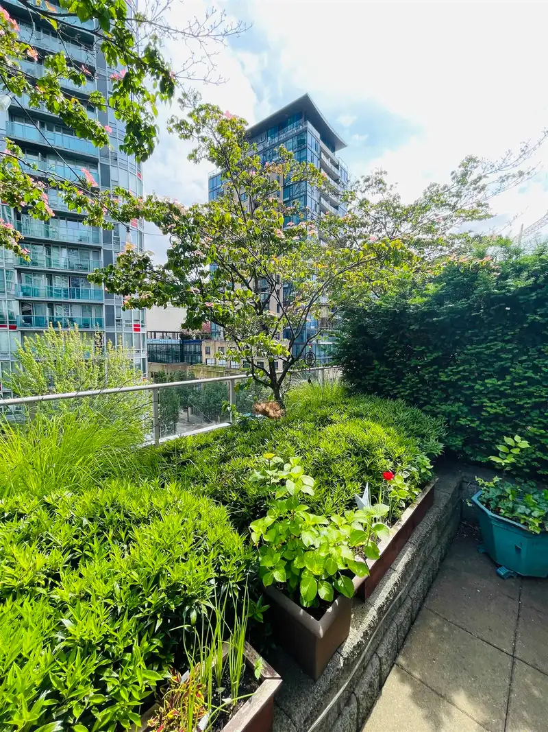 503 821 CAMBIE STREET - photo 4 of 20