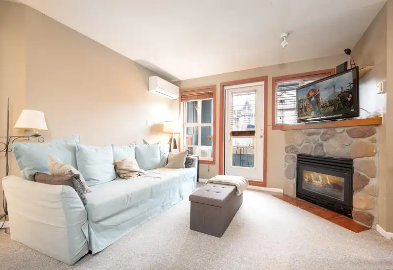 333 4314 MAIN STREET - photo 2 of 16