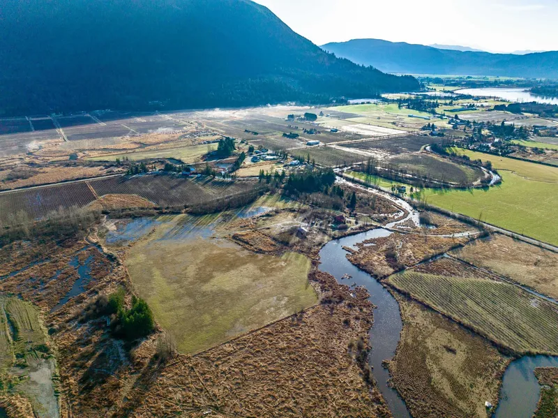 34995 DALE ROAD - photo 4 of 25