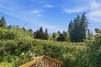 3155 DICKINSON CRESCENT - thumbnail 11