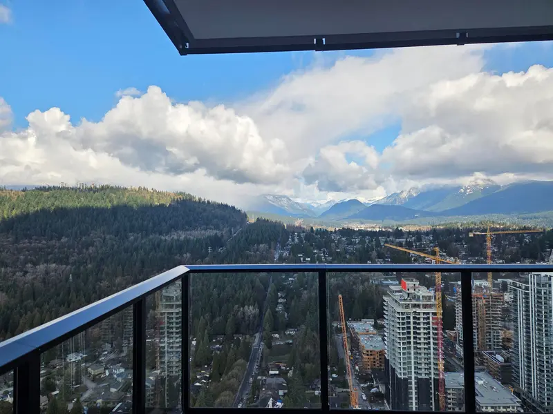 4201 720 FARROW STREET - photo 4 of 25