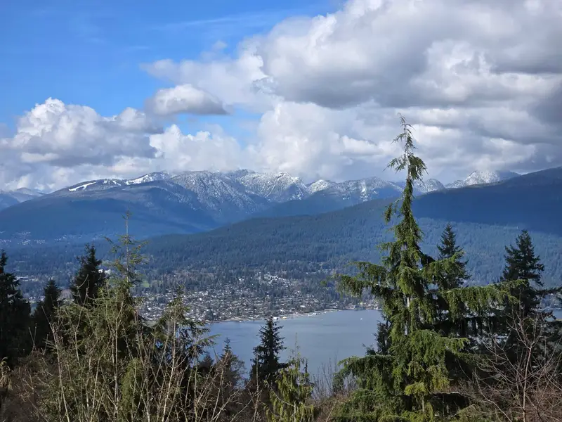 610 8850 UNIVERSITY CRESCENT - photo 2 of 25