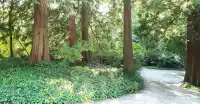 12581 CRESCENT ROAD - thumbnail 3