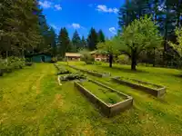 27383 DOGWOOD VALLEY ROAD - thumbnail 21