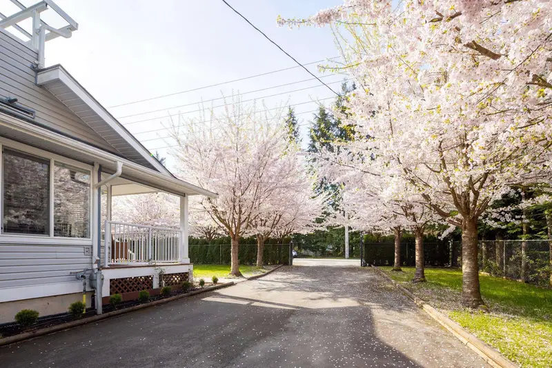 29847 DEWDNEY TRUNK ROAD - photo 4 of 25