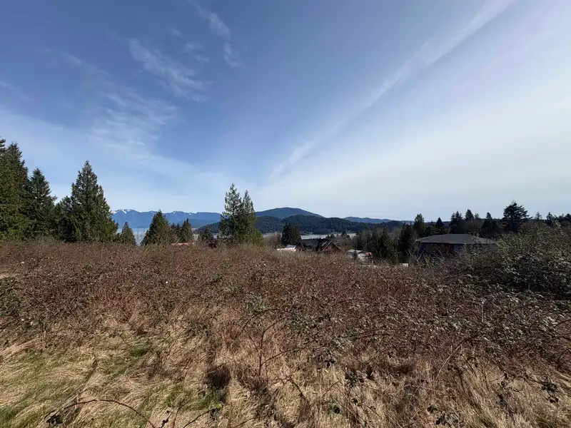 LOT D WOODLAND AVENUE - photo 2 of 15