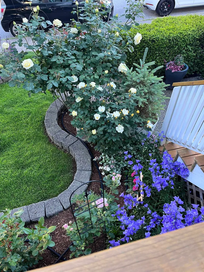 5776 149 STREET - photo 3 of 25