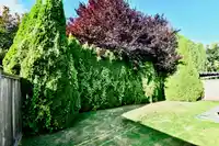 81 6245 SHERIDAN ROAD - thumbnail 10