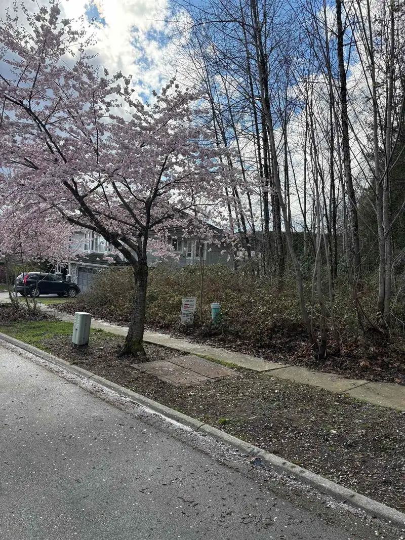 13395 237A STREET - photo 2 of 3