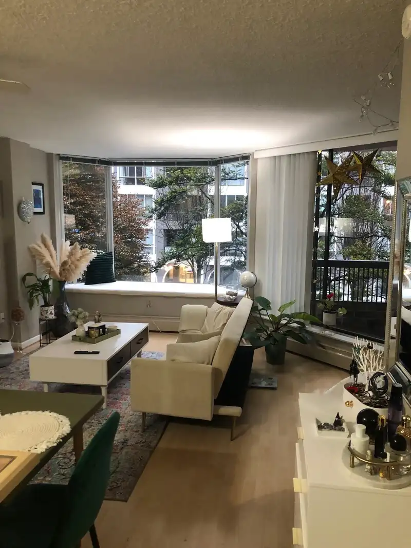 211 1333 HORNBY STREET - photo 1 of 31