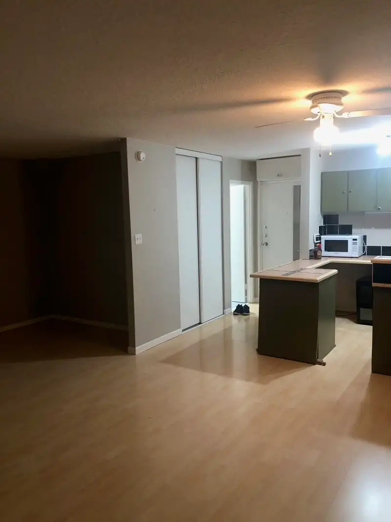 211 1333 HORNBY STREET - photo 3 of 31