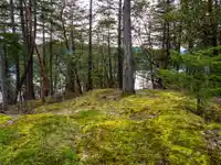 LOT 13 FLAGSHIP ROAD - thumbnail 19