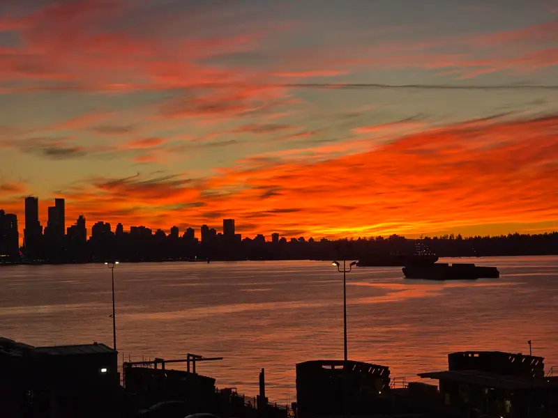 209 168 CHADWICK COURT - photo 2 of 25