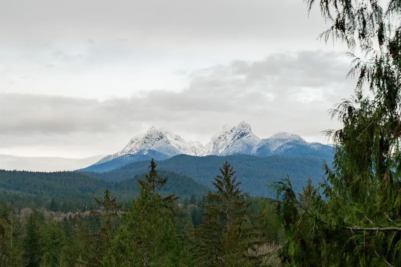 12680 ANSELL STREET - photo 4 of 25