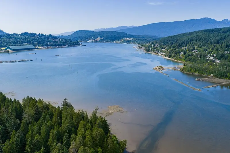 217 801 KLAHANIE DRIVE - photo 3 of 25