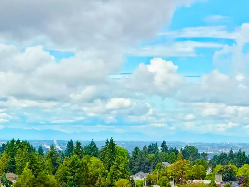 1911 10448 UNIVERSITY DRIVE - photo 1 of 32