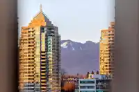 1107 4433 ALASKA STREET - thumbnail 39