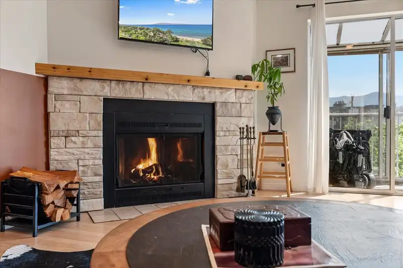 306 8975 MARY STREET - photo 3 of 40