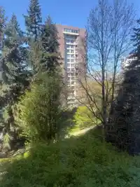 501 5885 OLIVE AVENUE - thumbnail 4