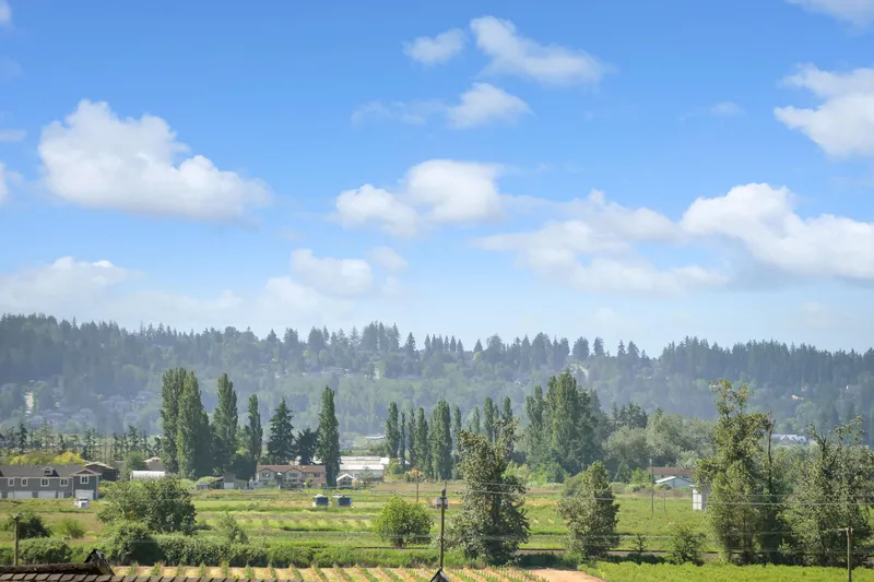 16602 BELL ROAD - photo 3 of 16