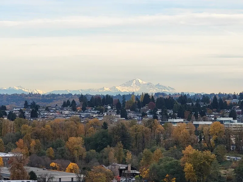 2006 2345 MADISON AVENUE - photo 2 of 25