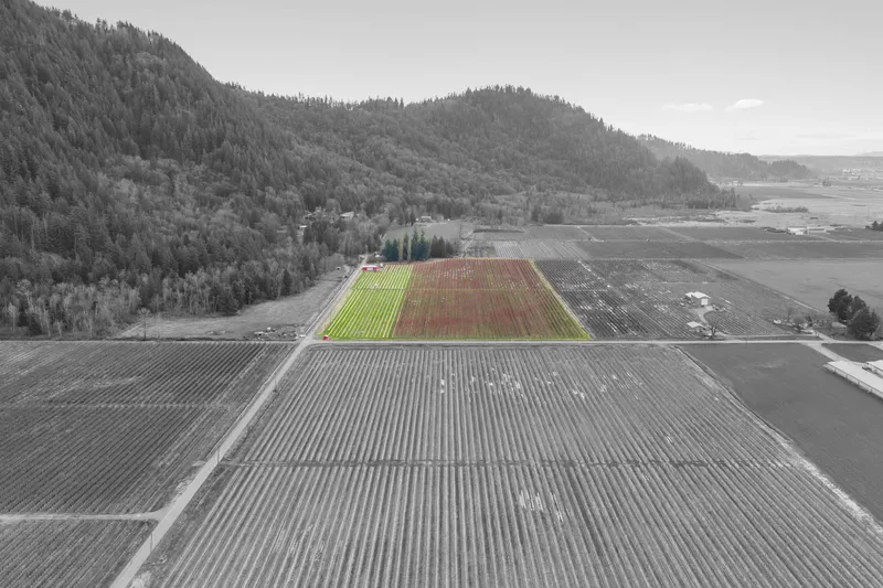 6209 LITTLE STREET - photo 2 of 24